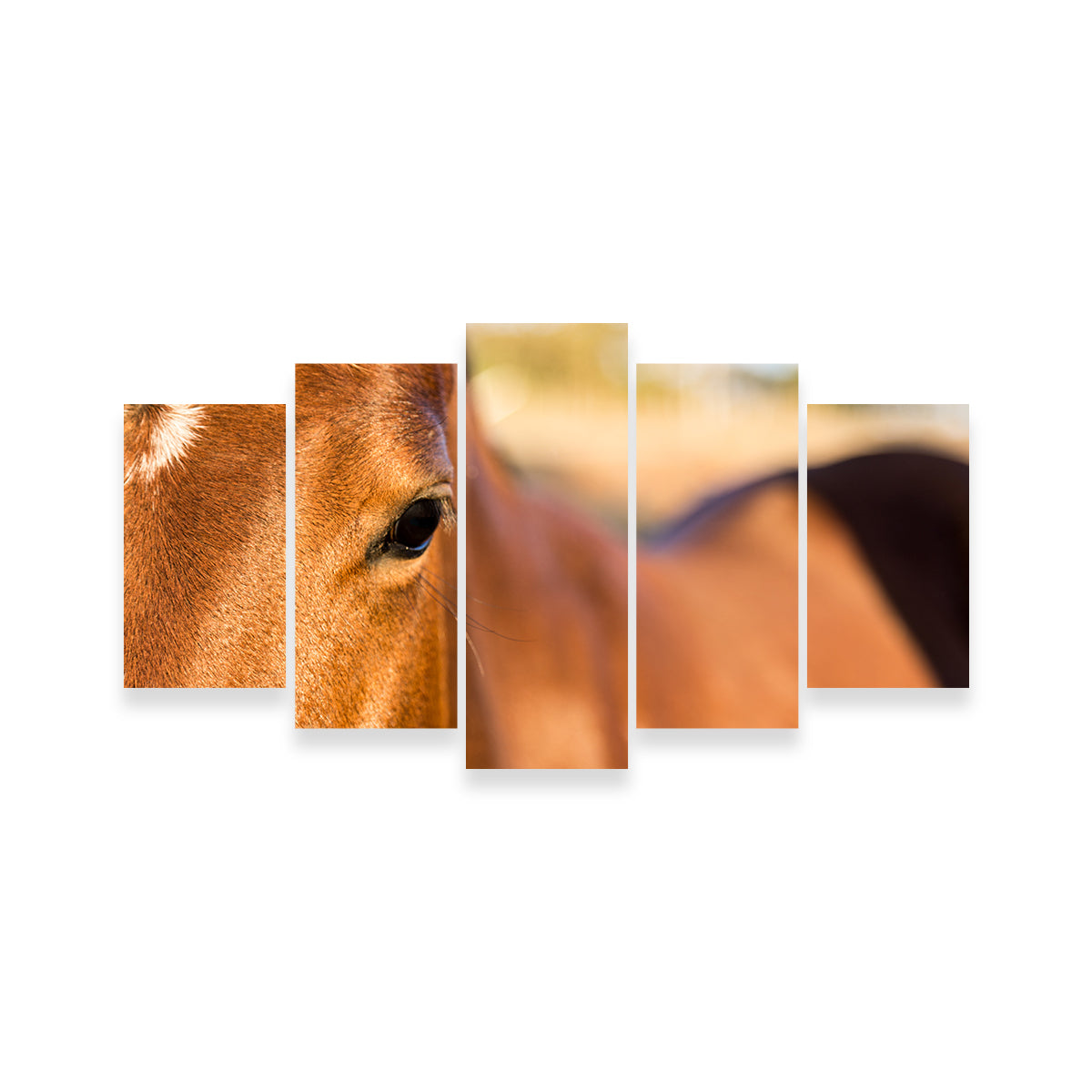 Brown Quarter Horse Wall Art