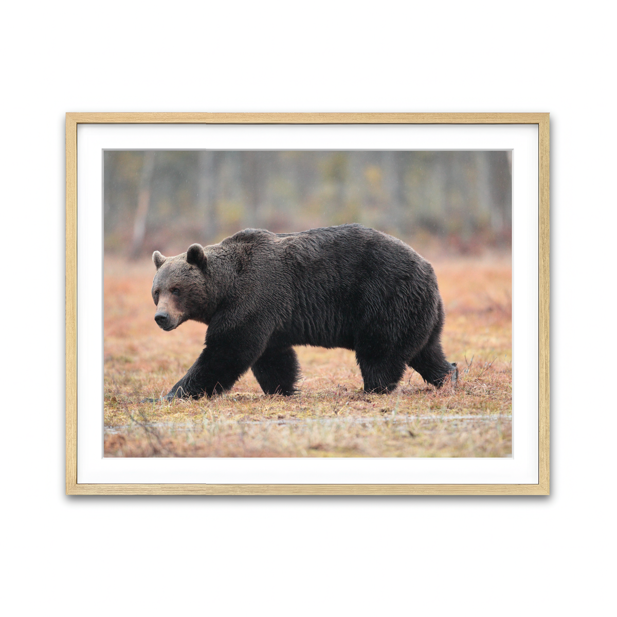 Framed Print 4x3 Natural