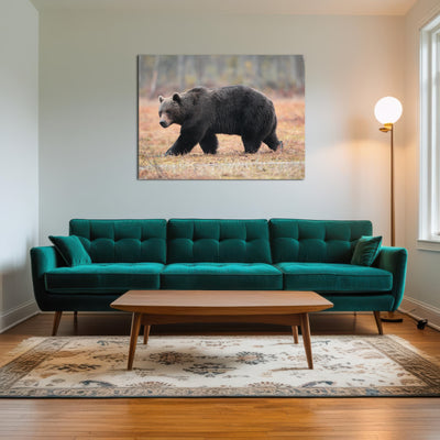 AUTO-MOCKUP ROOM | Brown Bear