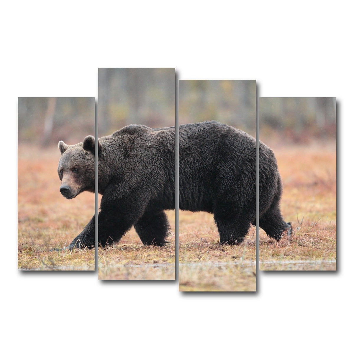 AUTO-MOCKUP WHITE | Brown Bear | 4 Piece | Gallery Wrap Canvas | group=4_normal