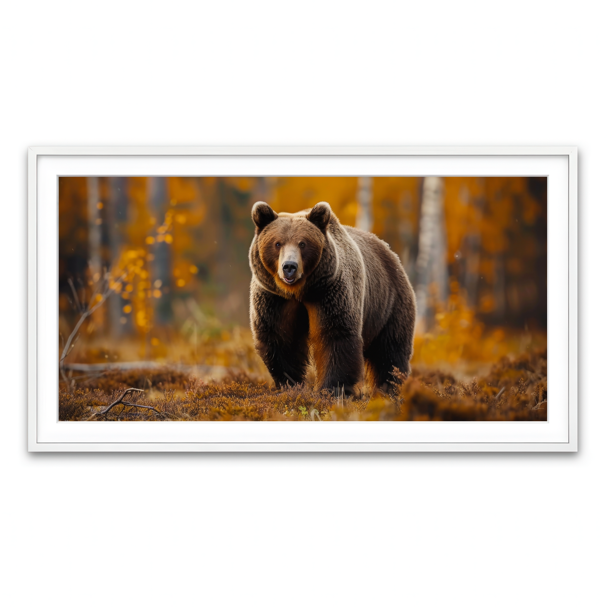 Framed Print 2x1 White