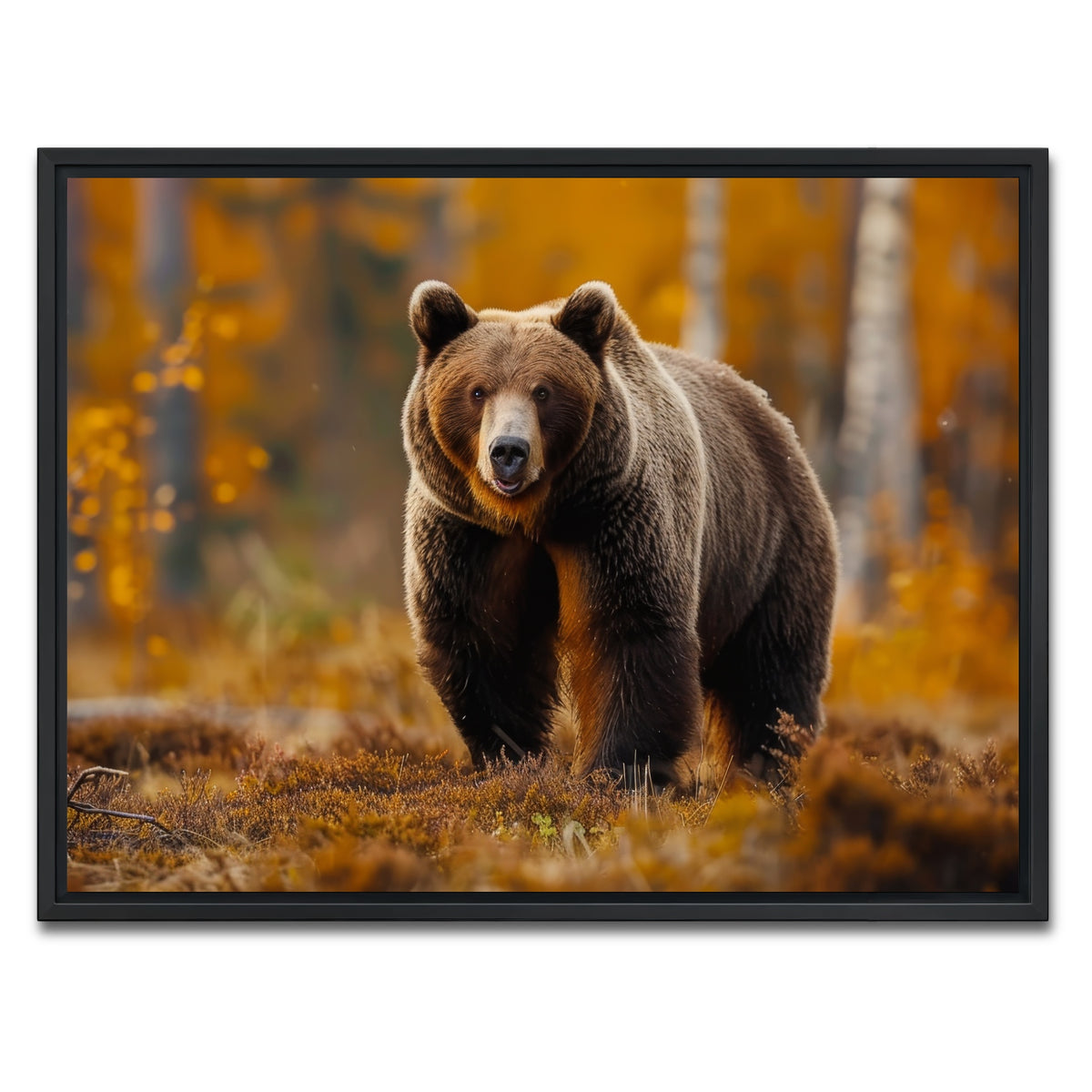 AUTO-MOCKUP WHITE | Brown Bear in Autumn Forest | 1 Piece | Black Framed Canvas | group=4x3