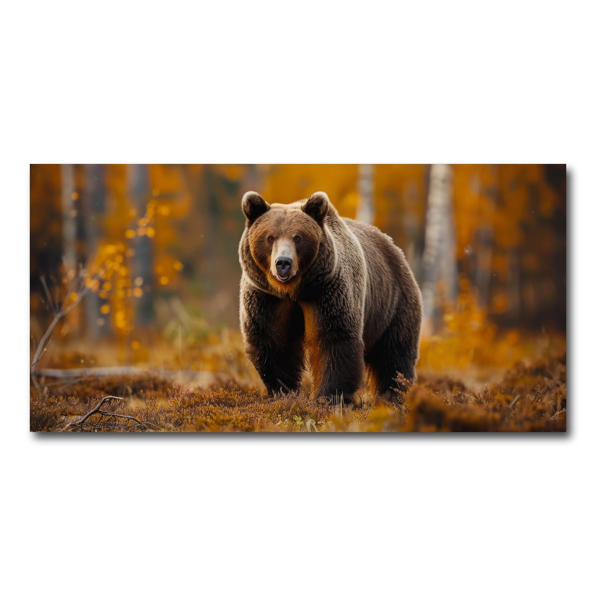 AUTO-MOCKUP WHITE | Brown Bear in Autumn Forest | 1 Piece | Gallery Wrap Canvas | group=2x1