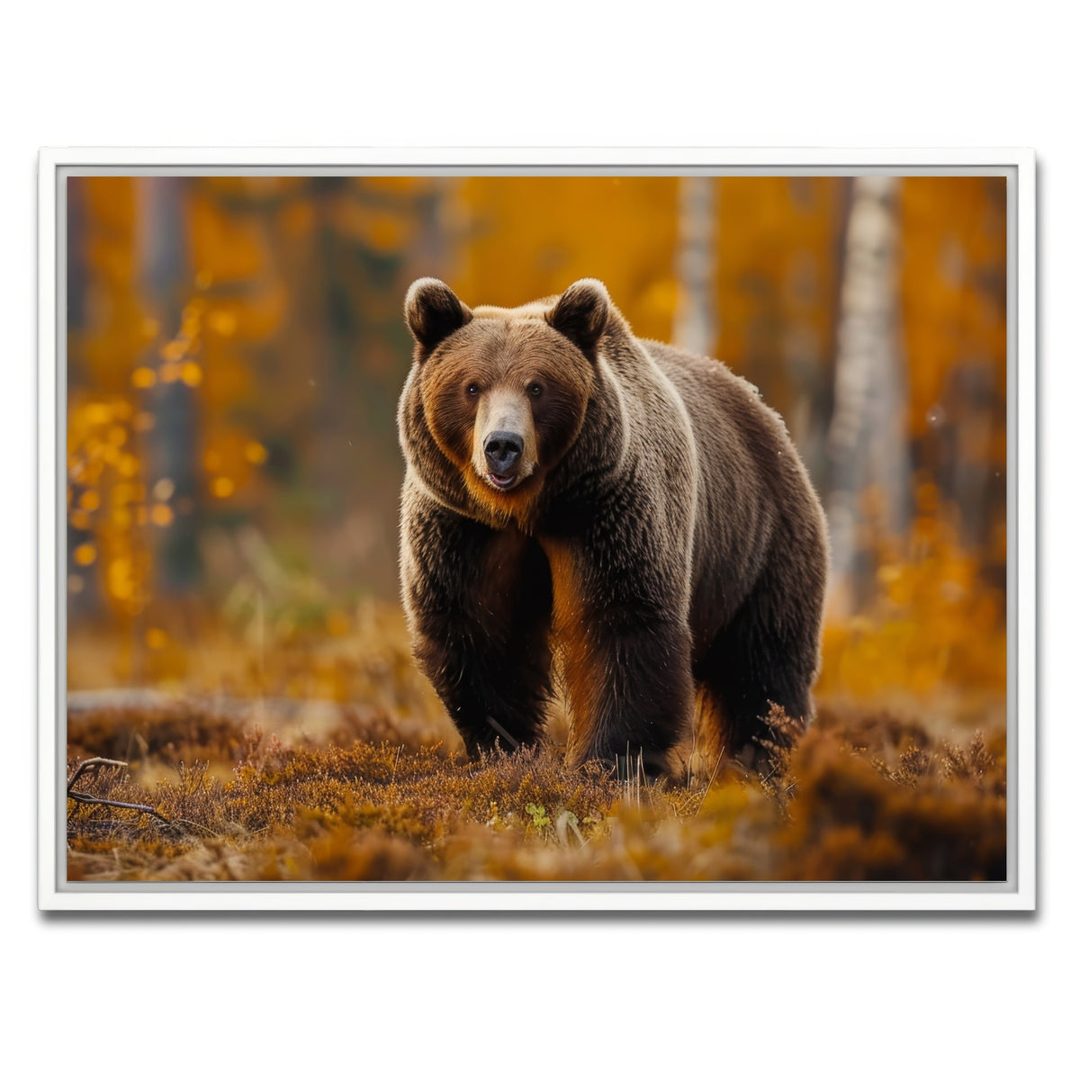 AUTO-MOCKUP WHITE | Brown Bear in Autumn Forest | 1 Piece | White Framed Canvas | group=4x3