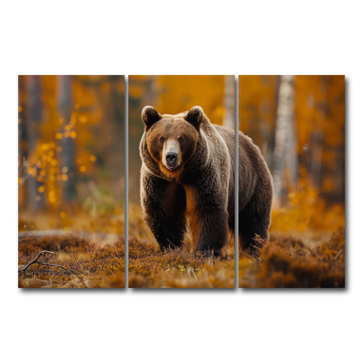 AUTO-MOCKUP WHITE | Brown Bear in Autumn Forest | 3 Piece | Gallery Wrap Canvas | group=12x24