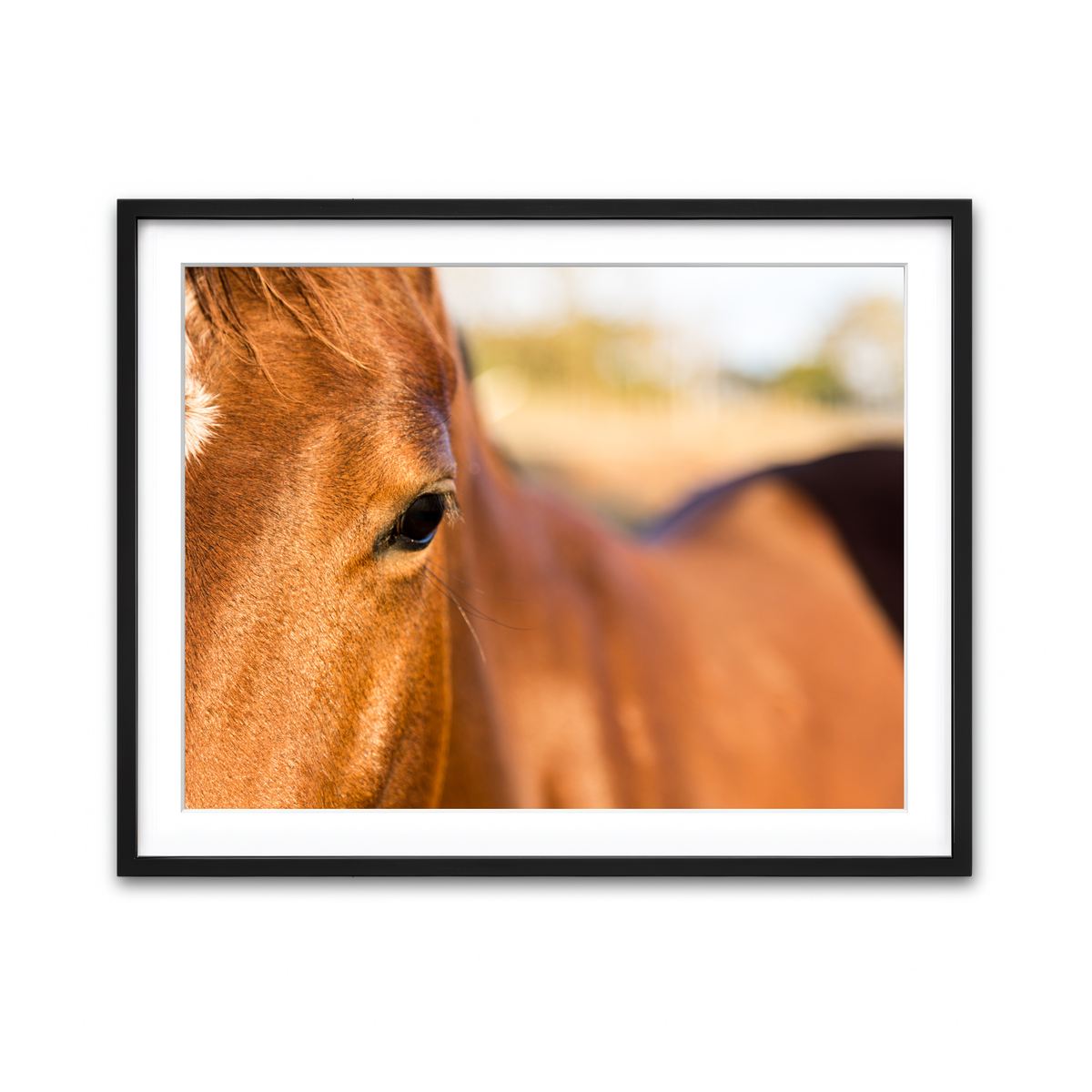 Framed Print 4x3 Black