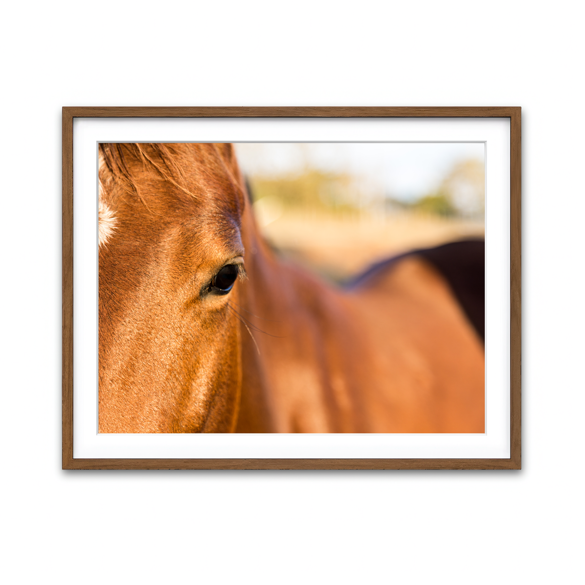 Framed Print 4x3 Walnut