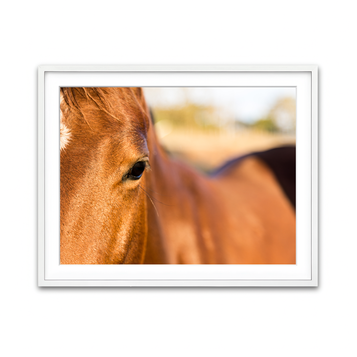 Framed Print 4x3 White