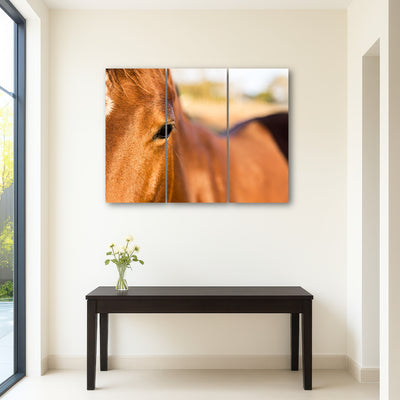 AUTO-MOCKUP ROOM | Brown Quarter Horse