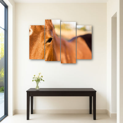 AUTO-MOCKUP ROOM | Brown Quarter Horse