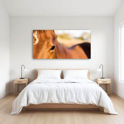 AUTO-MOCKUP ROOM | Brown Quarter Horse