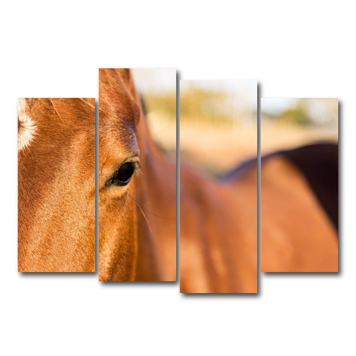 AUTO-MOCKUP WHITE | Brown Quarter Horse | 4 Piece | Gallery Wrap Canvas | group=4_normal