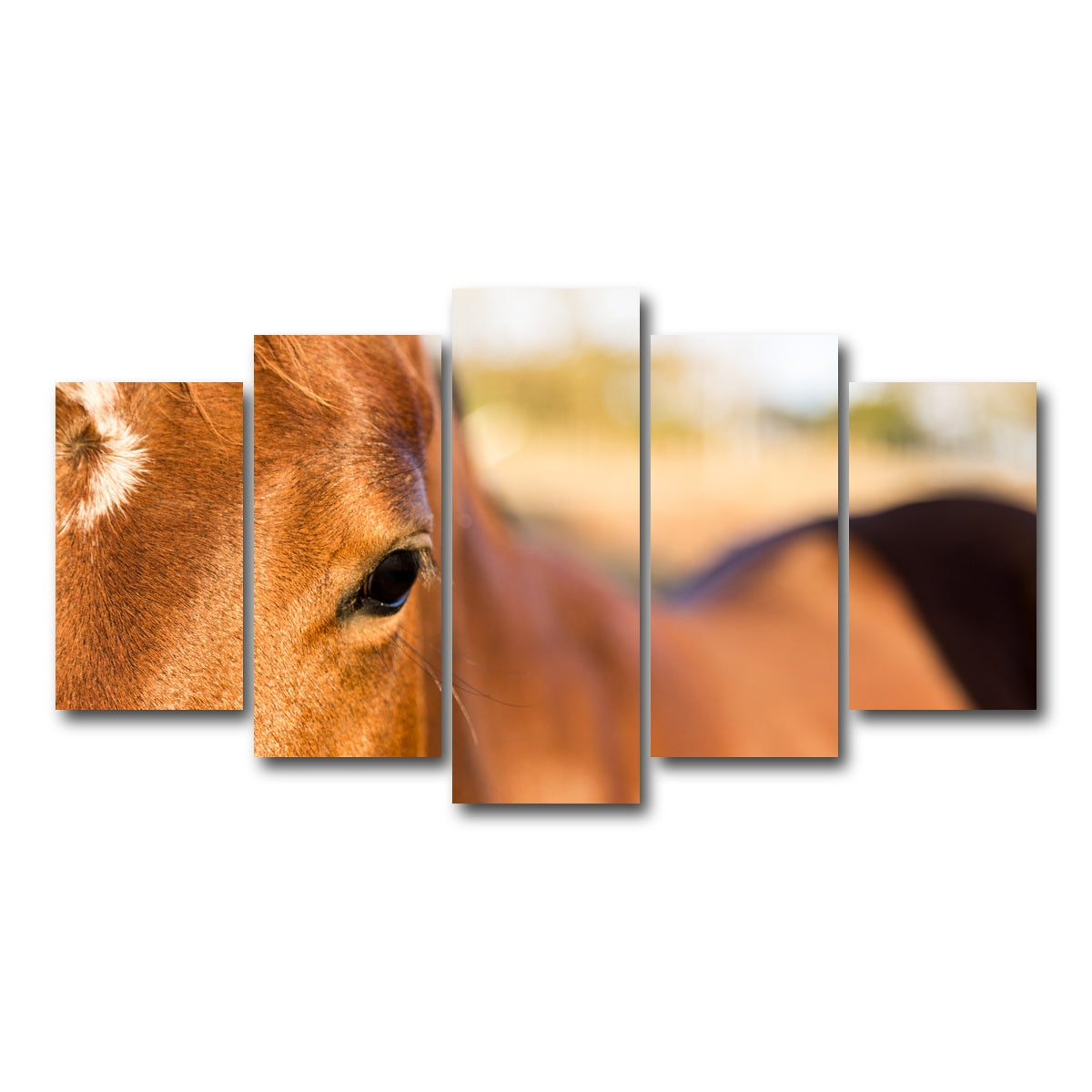 AUTO-MOCKUP WHITE | Brown Quarter Horse | 5 Piece | Gallery Wrap Canvas | group=5_normal