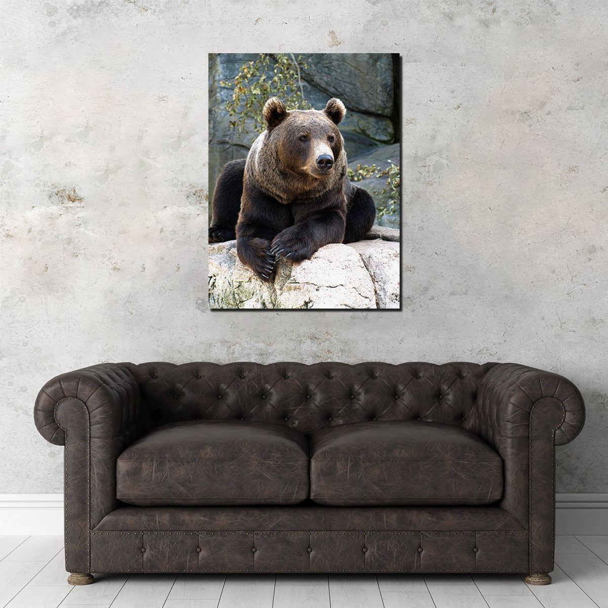 Brown Grizzly Bear Wall Art