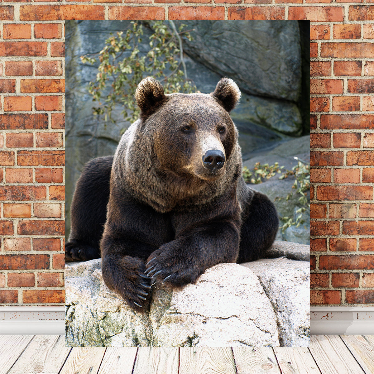 Brown Grizzly Bear Wall Art