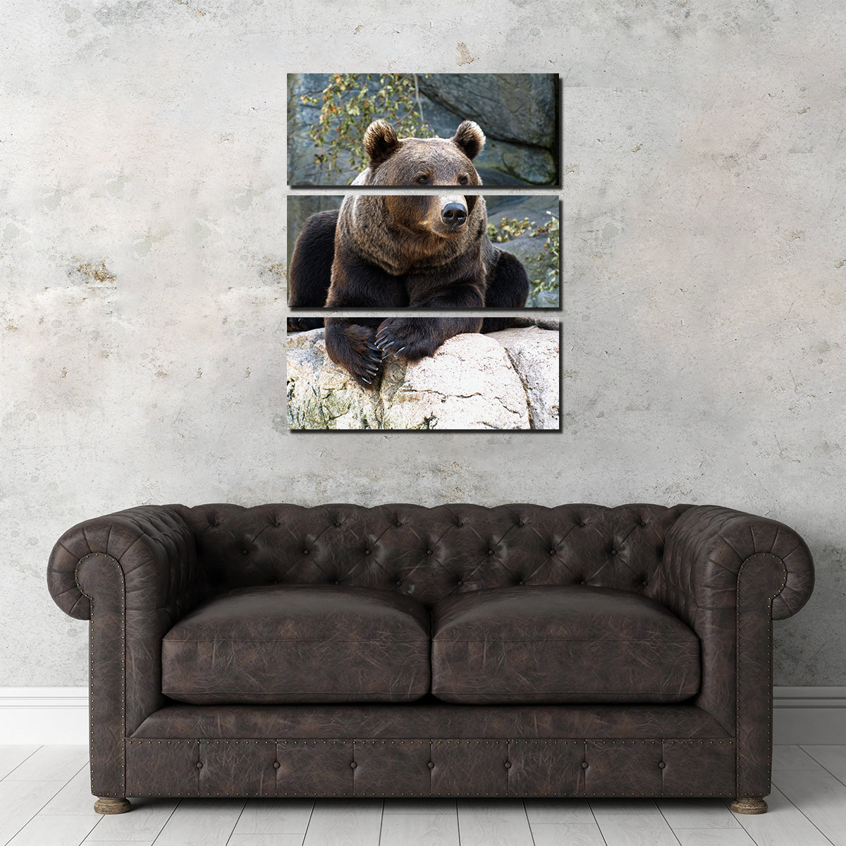 Brown Grizzly Bear Wall Art