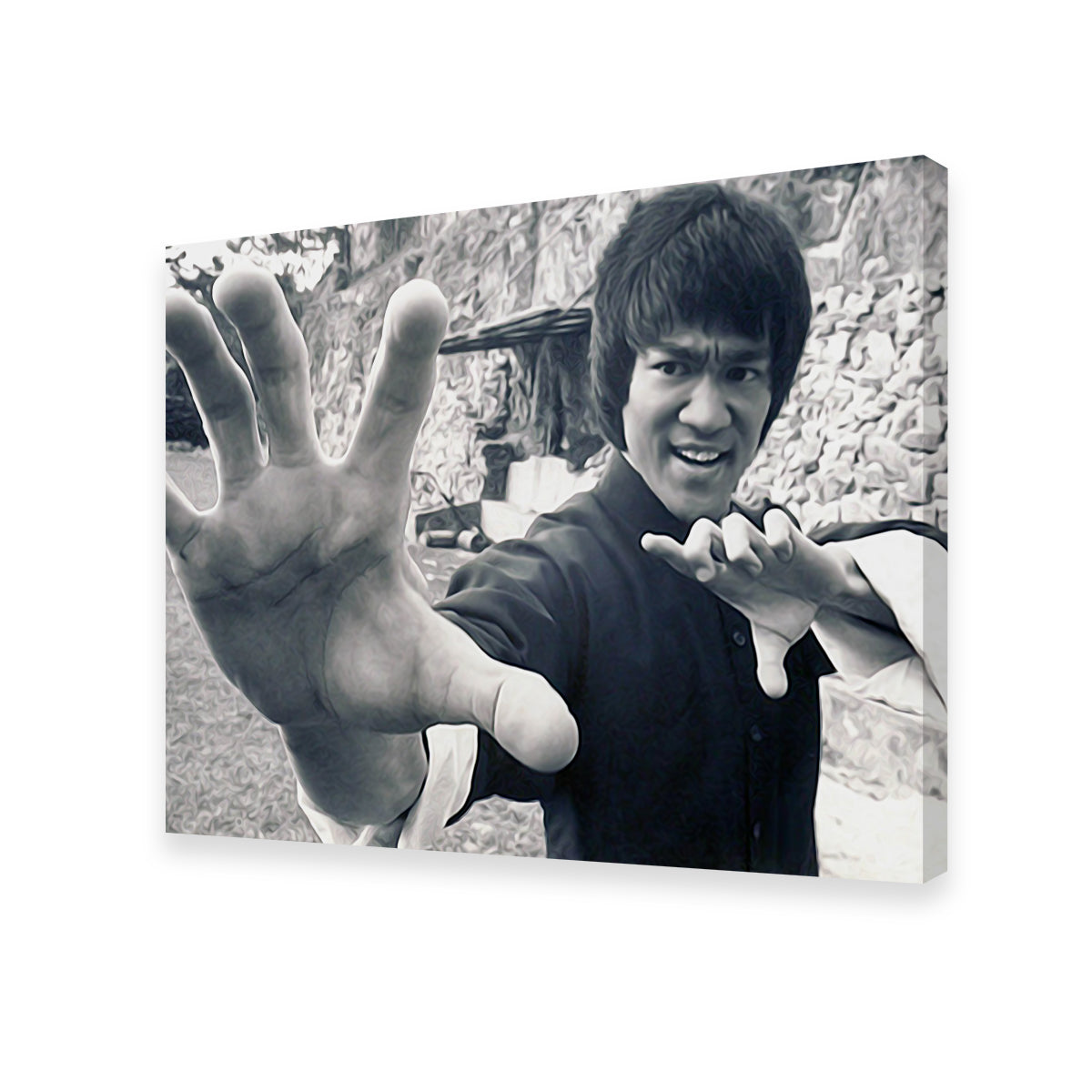 Bruce Lee Canvas Set