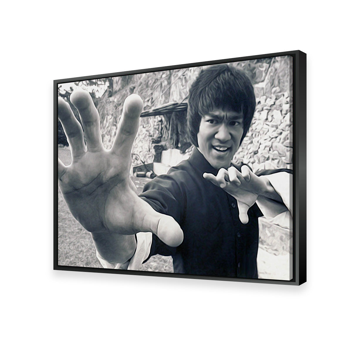 Bruce Lee Canvas Set