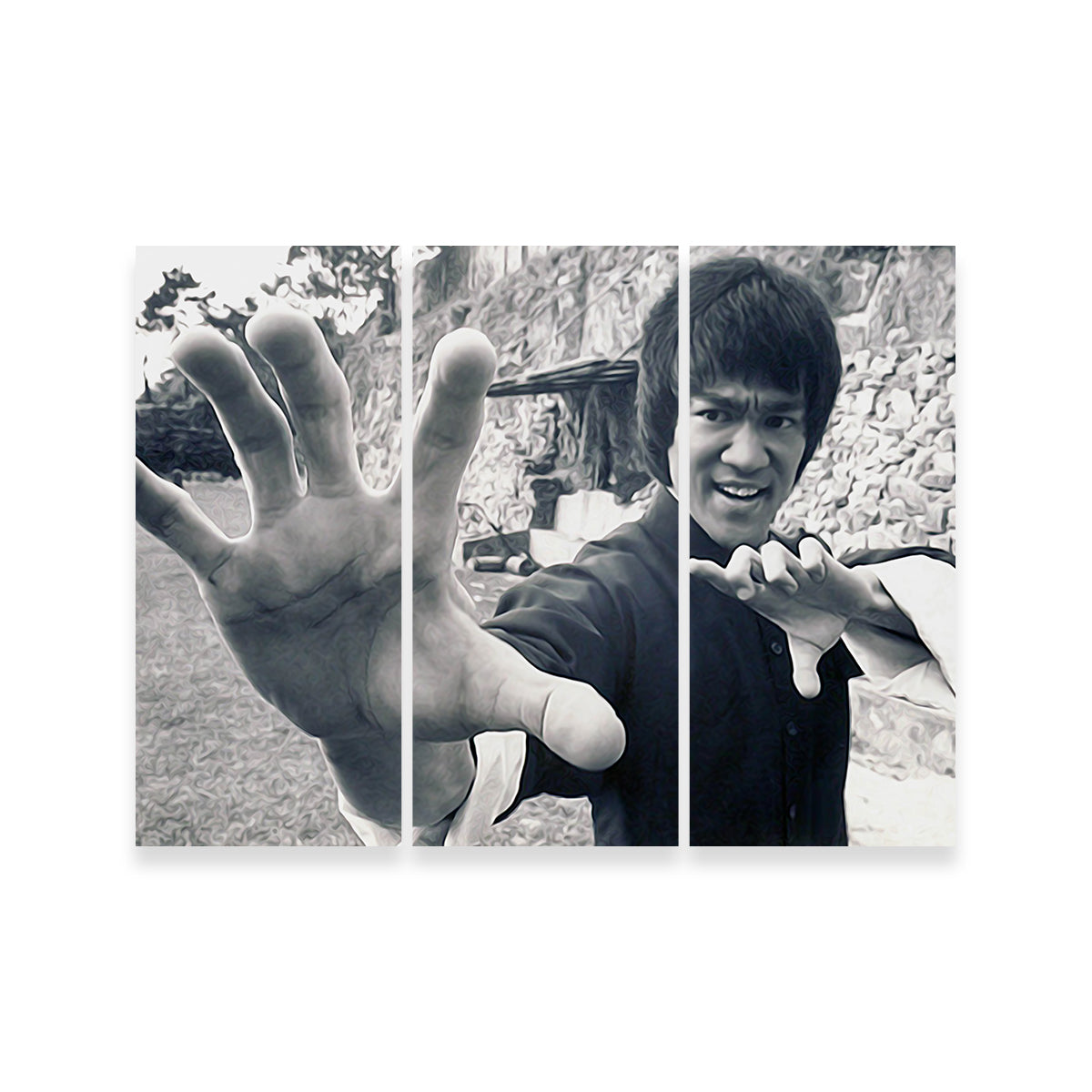 Bruce Lee Canvas Set