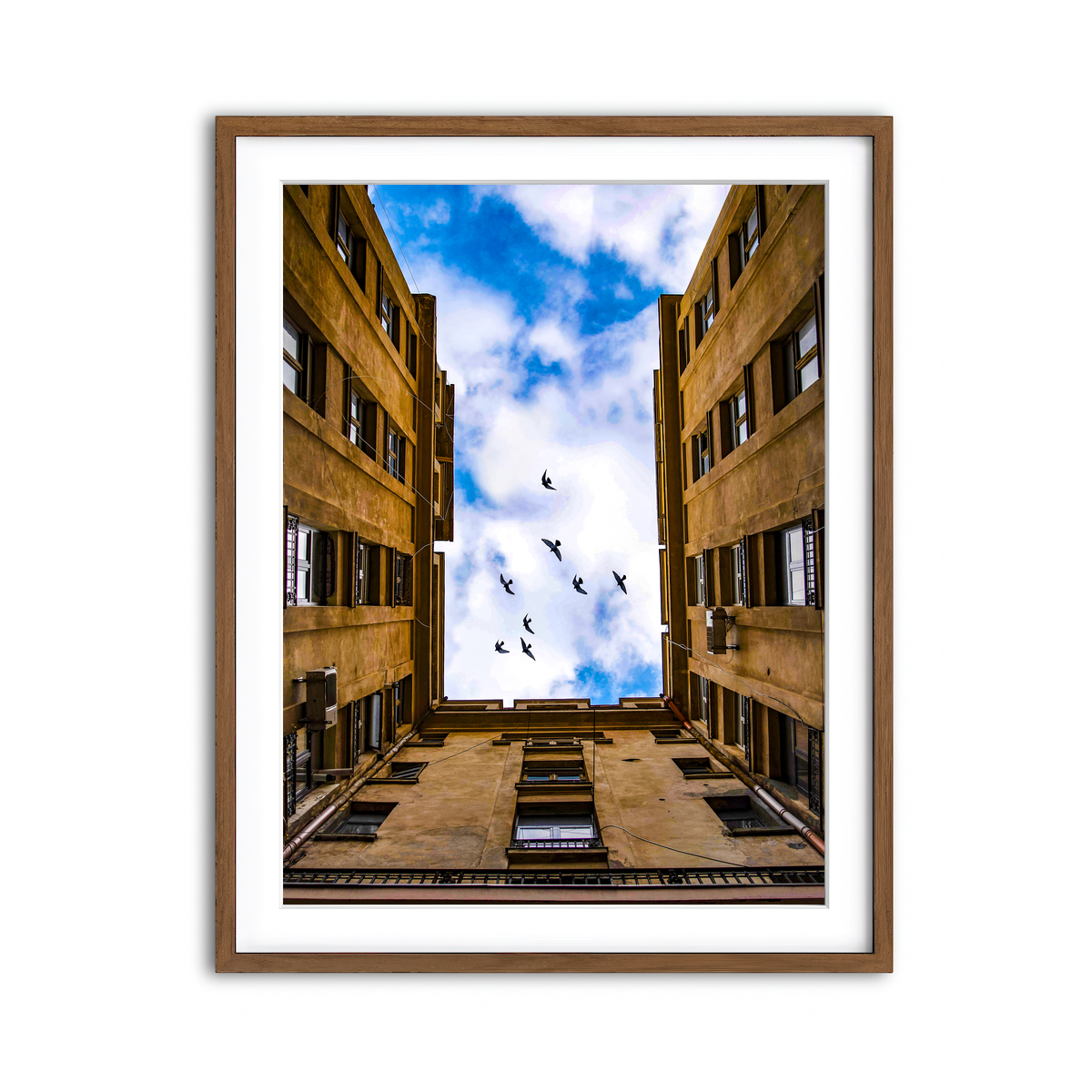 Framed Print 3x4 Walnut