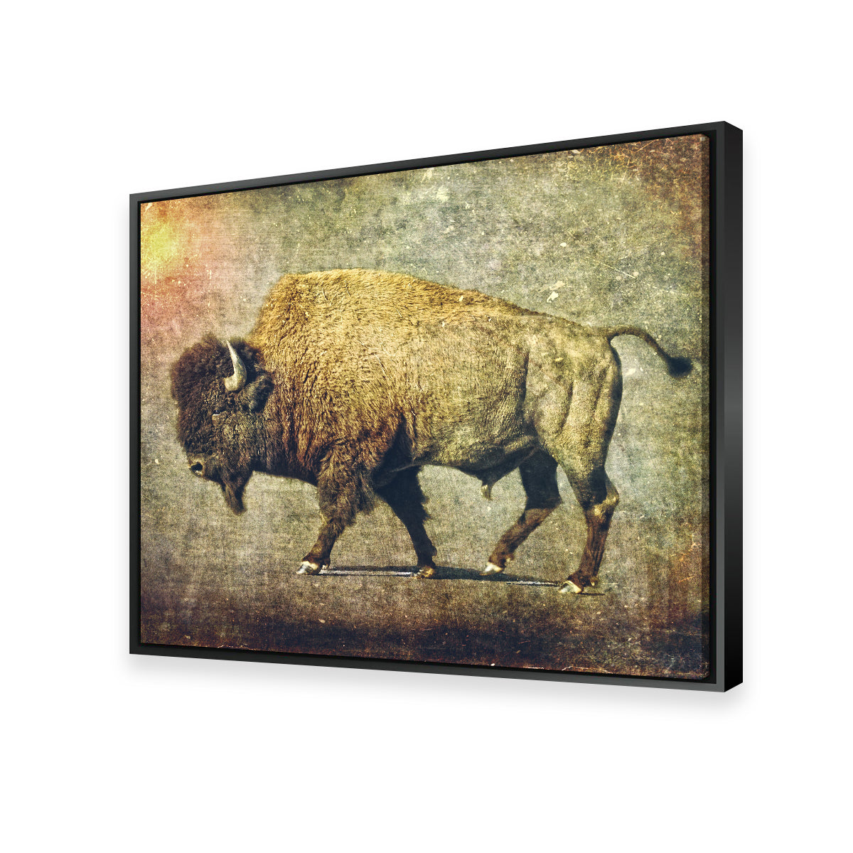 Buffalo Art Wall Art