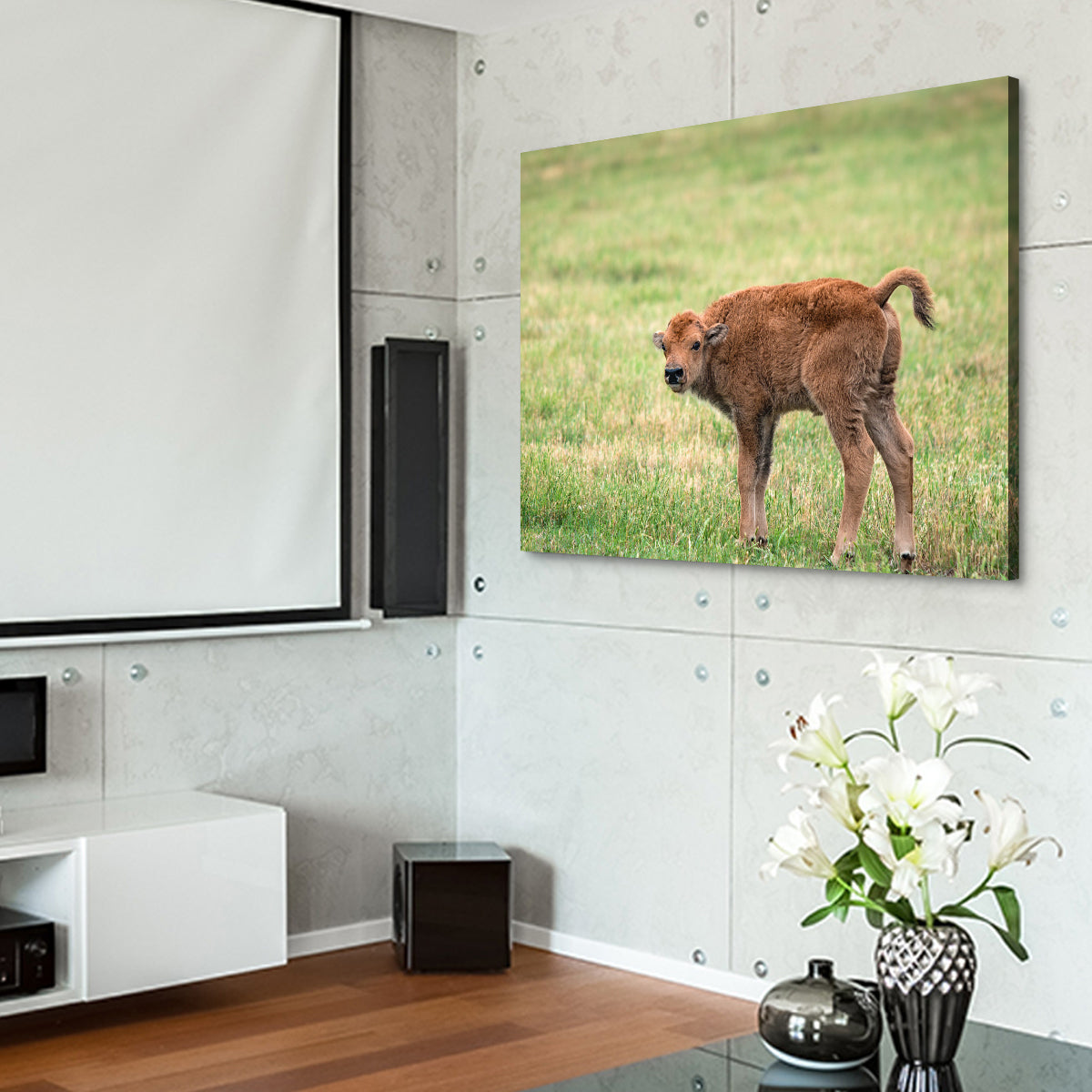 Buffalo Calf Wall Art