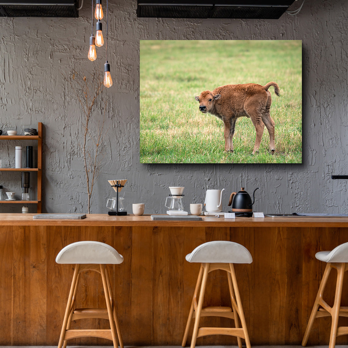 Buffalo Calf Wall Art