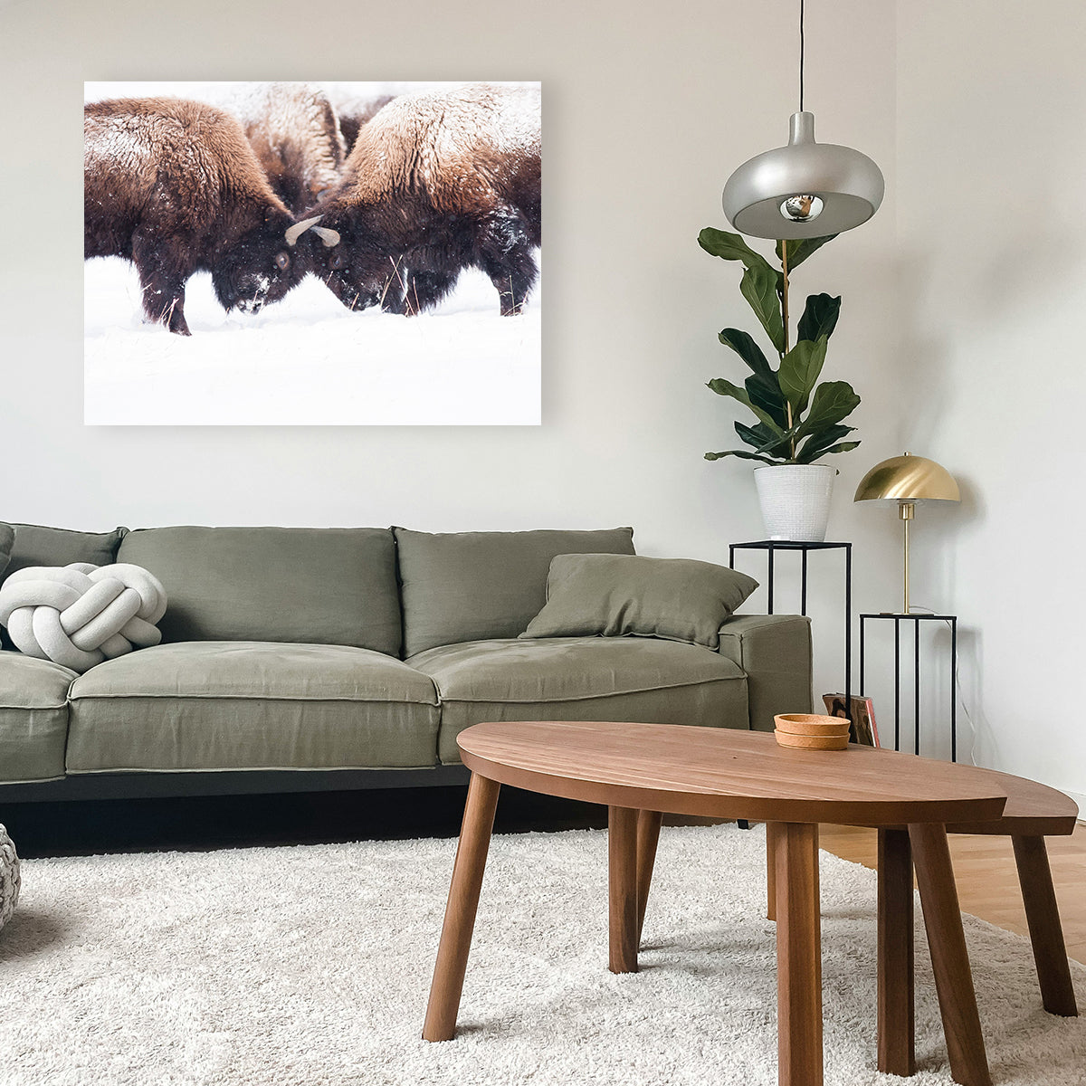 Buffalo Fighting in Yellowstone Wall Art