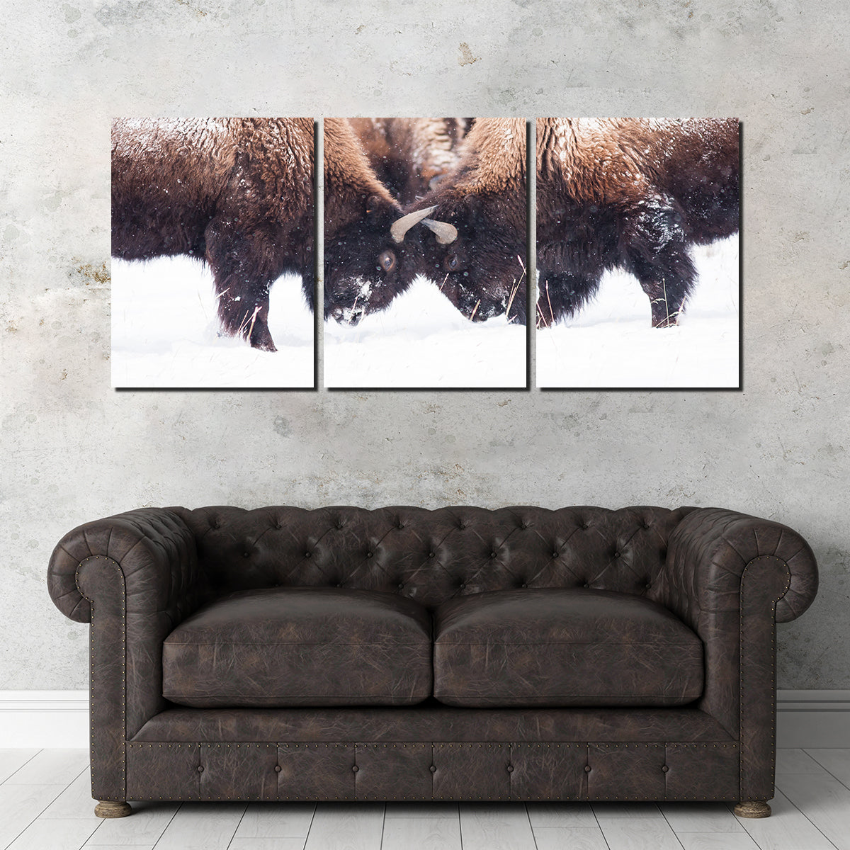 Buffalo Fighting in Yellowstone Wall Art