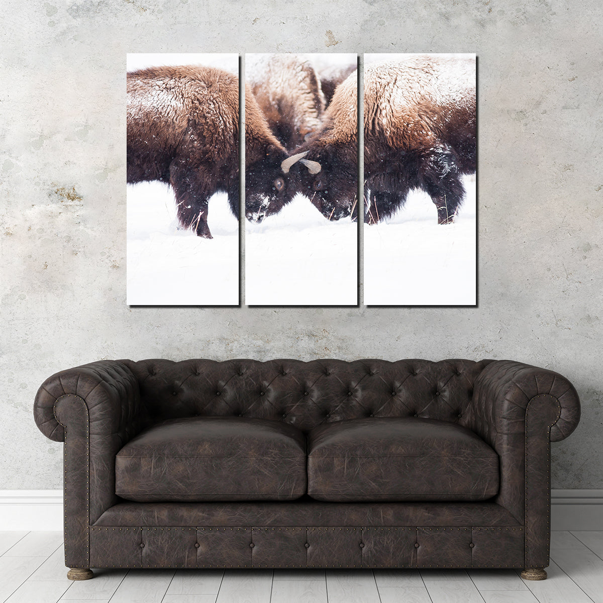 Buffalo Fighting in Yellowstone Wall Art