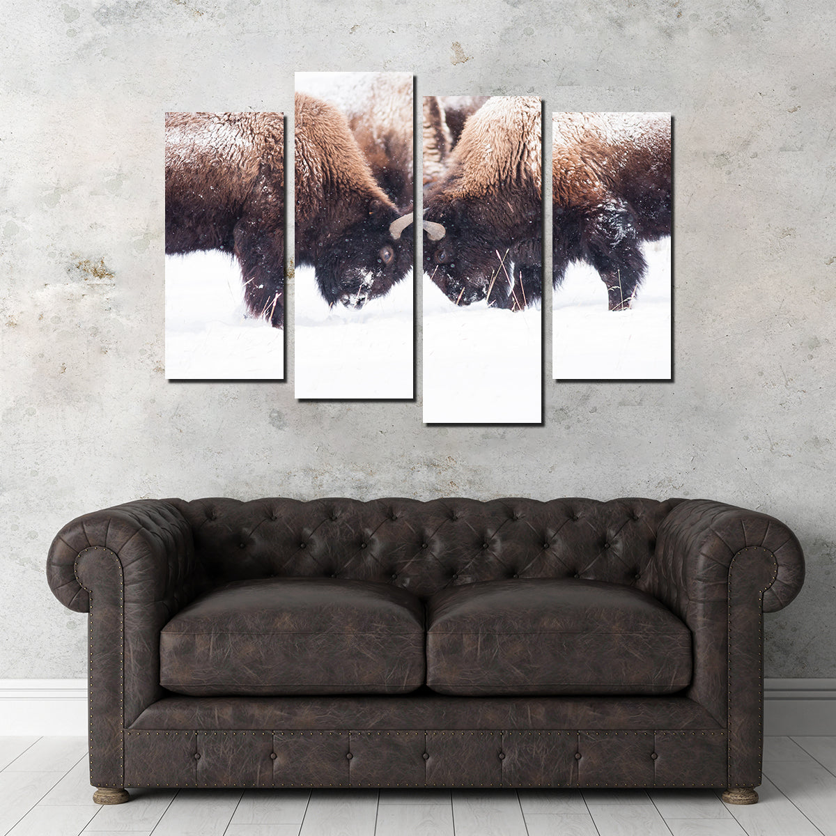 Buffalo Fighting in Yellowstone Wall Art