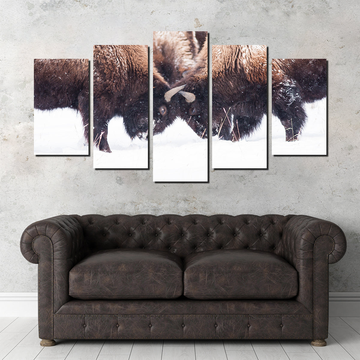 Buffalo Fighting in Yellowstone Wall Art