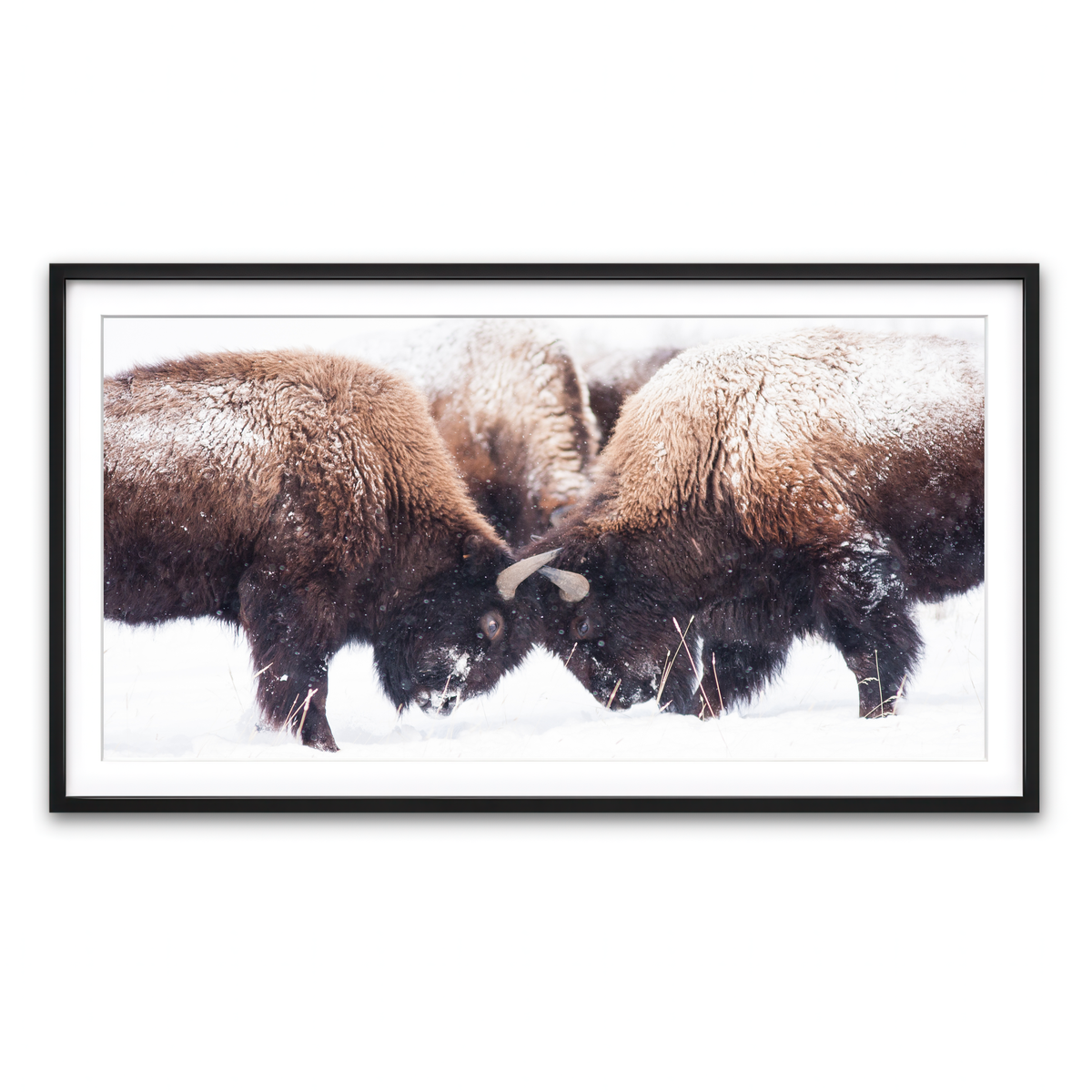 Framed Print 2x1 Black