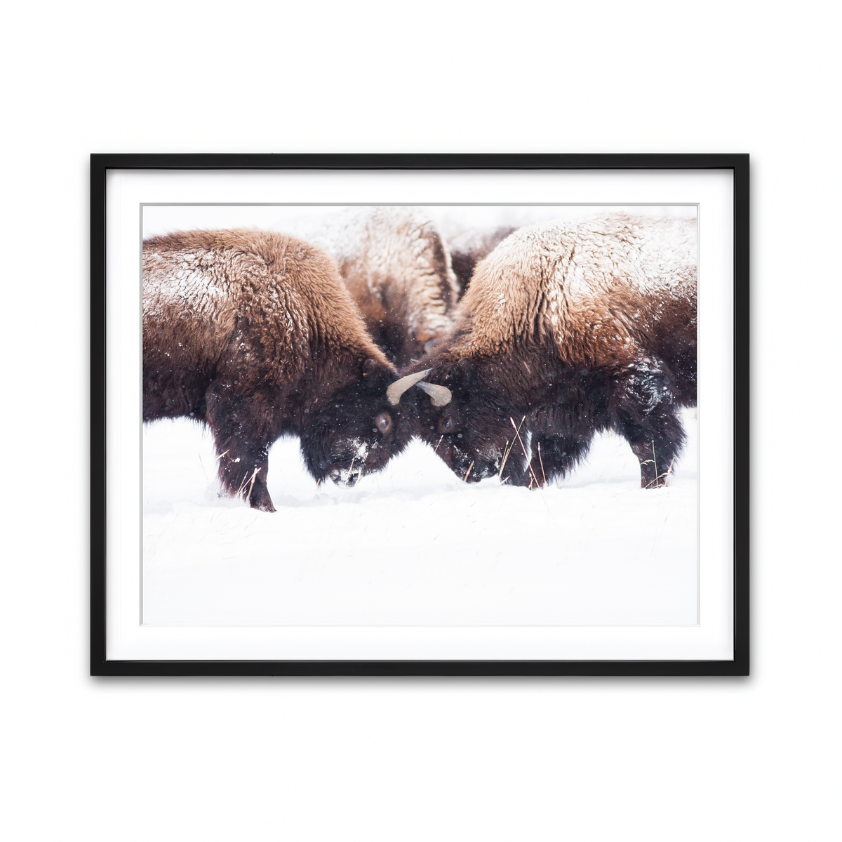 Framed Print 4x3 Black