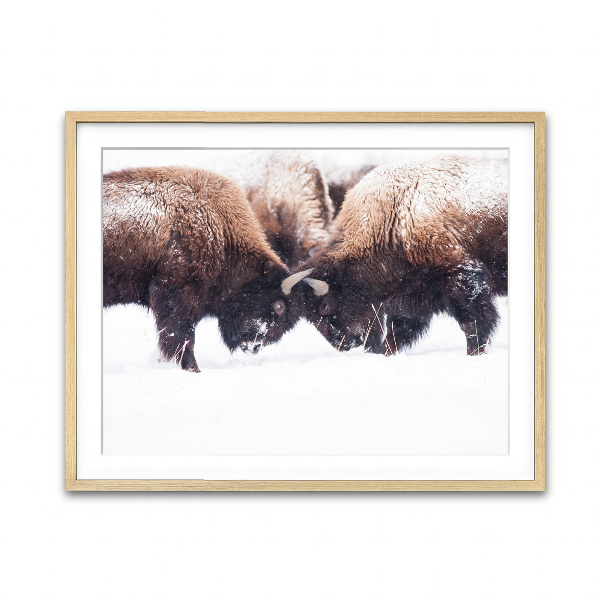 Framed Print 4x3 Natural