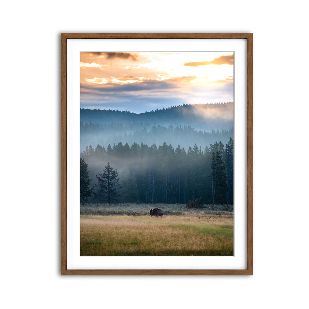 Framed Print 3x4 Walnut
