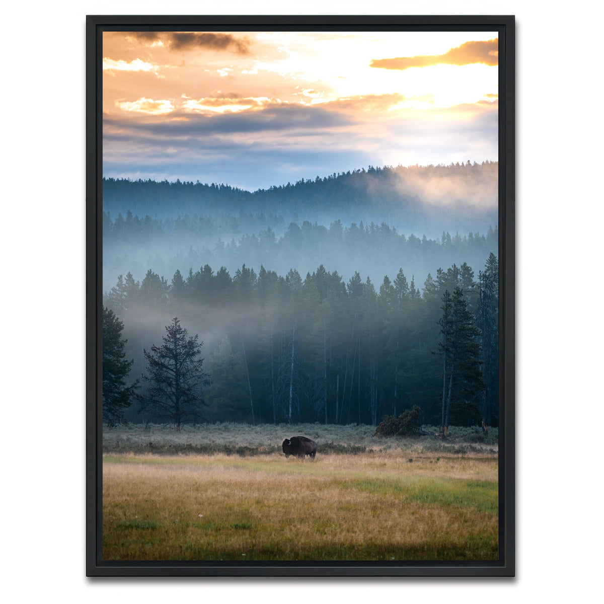 AUTO-MOCKUP WHITE | Buffalo Sunrise | 1 Piece | Black Framed Canvas | group=3x4