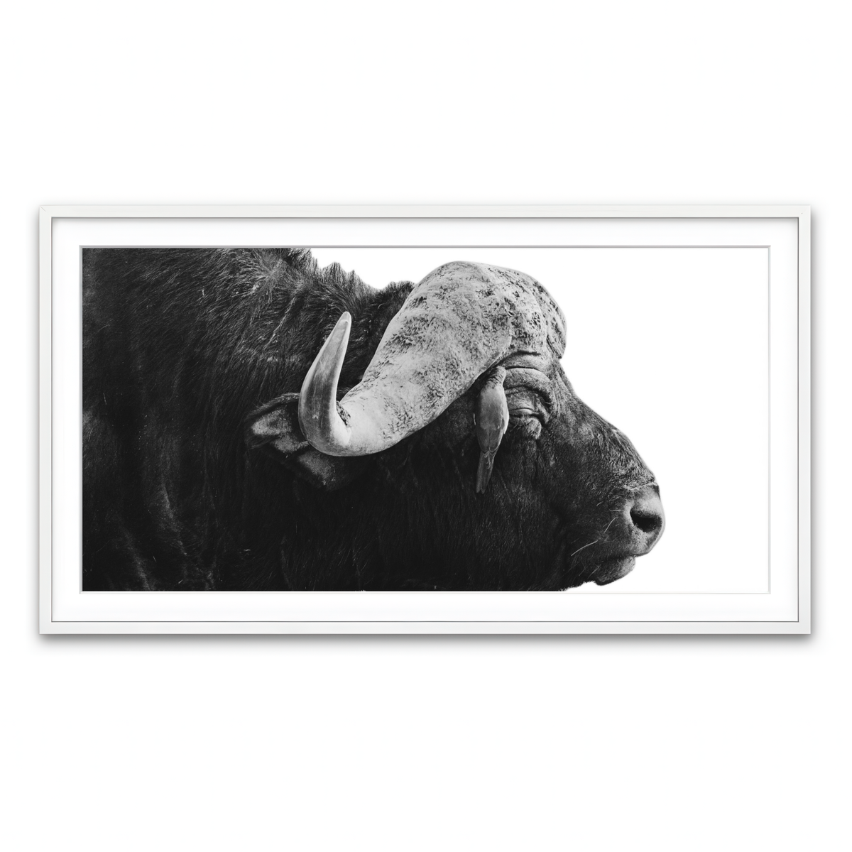 Framed Print 2x1 White
