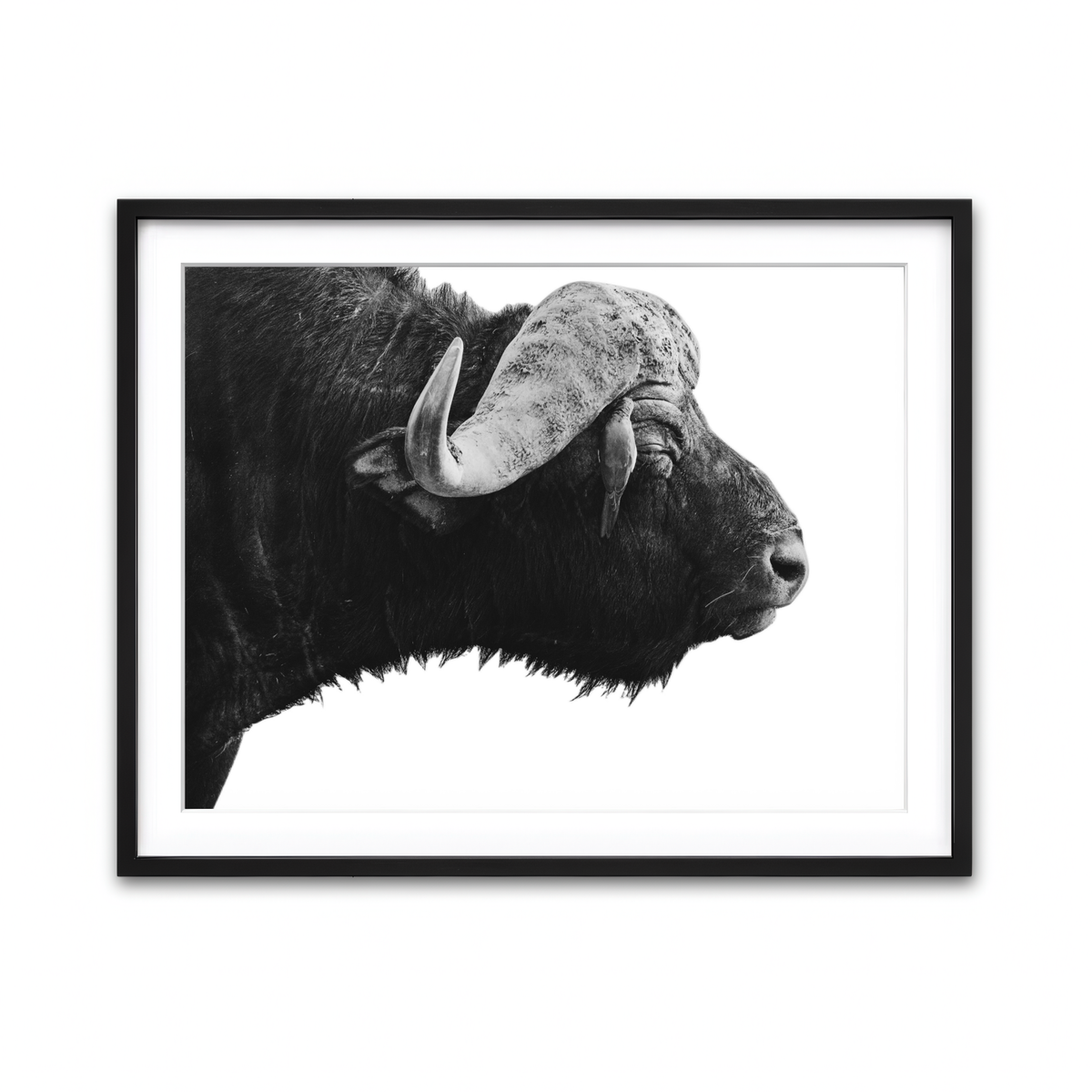 Framed Print 4x3 Black