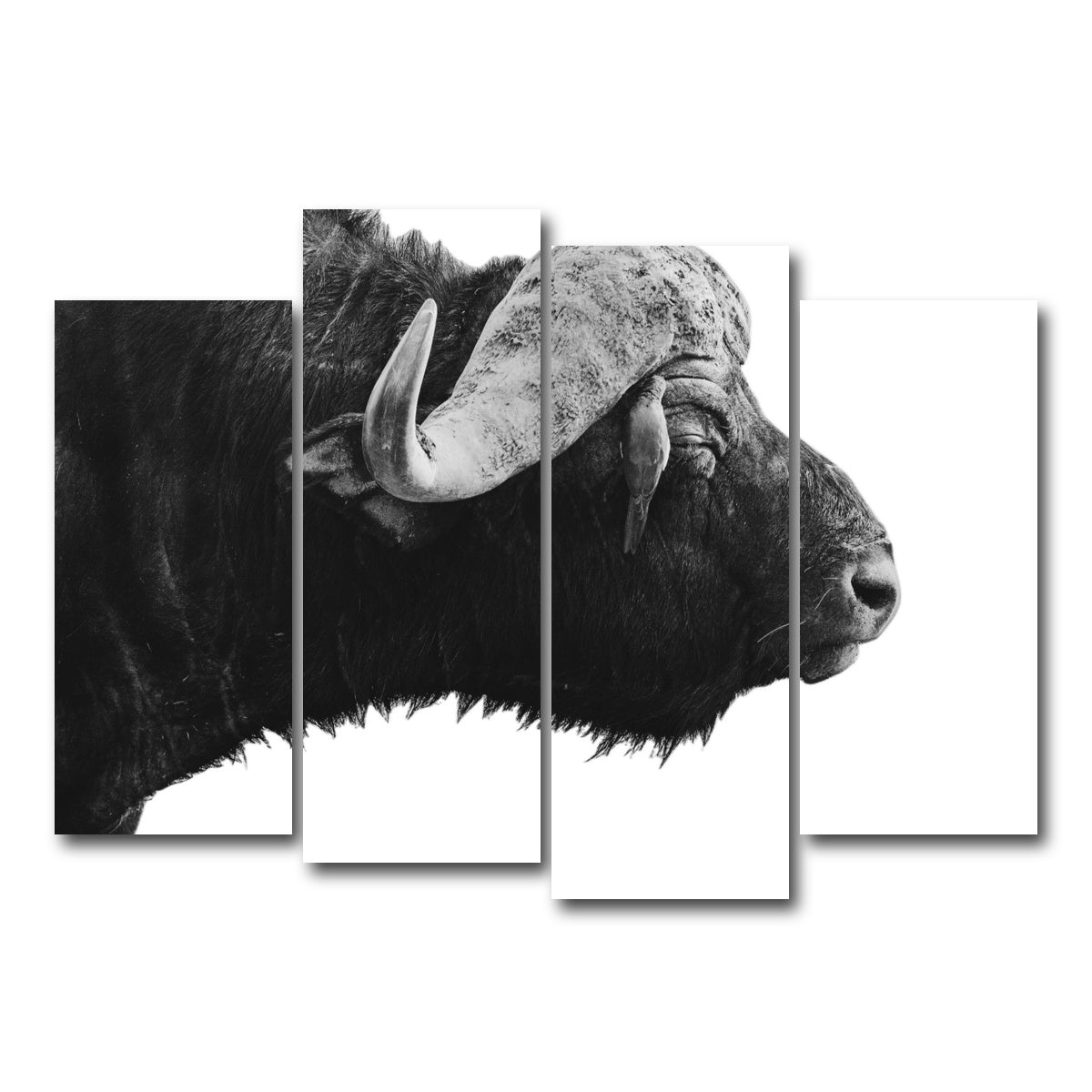 AUTO-MOCKUP WHITE | Buffalo | 4 Piece | Gallery Wrap Canvas | group=4_normal
