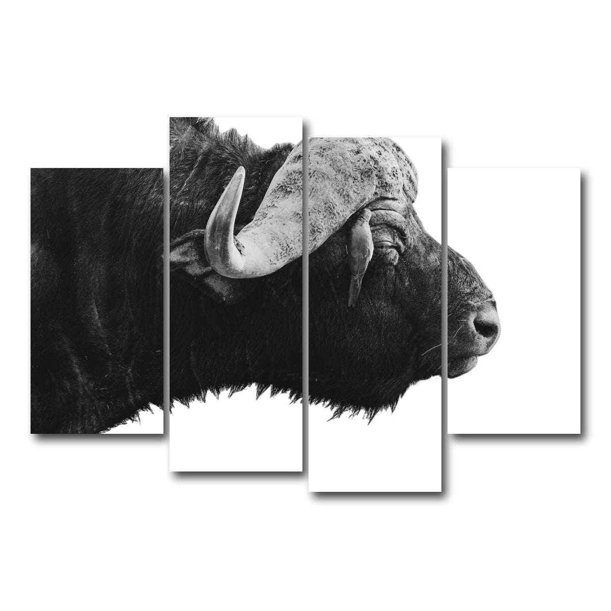 AUTO-MOCKUP WHITE | Buffalo | 4 Piece | Gallery Wrap Canvas | group=4_short
