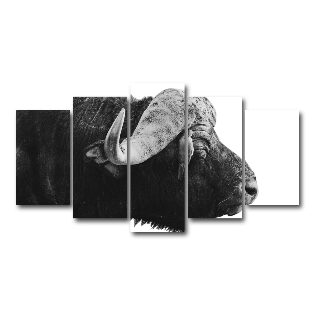 AUTO-MOCKUP WHITE | Buffalo | 5 Piece | Gallery Wrap Canvas | group=5_normal