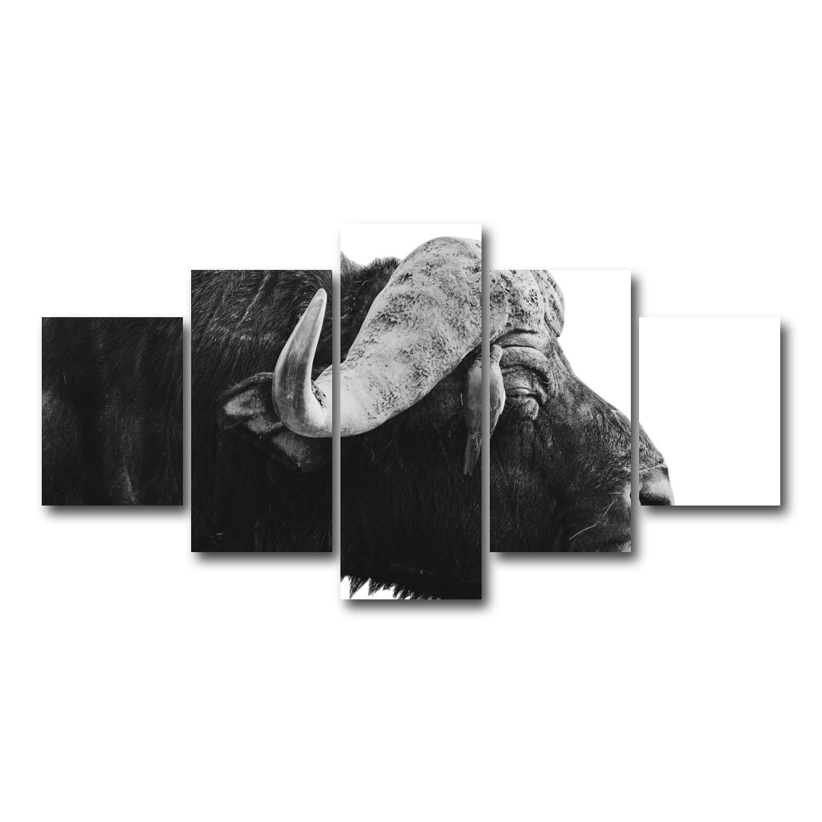 AUTO-MOCKUP WHITE | Buffalo | 5 Piece | Gallery Wrap Canvas | group=5_short