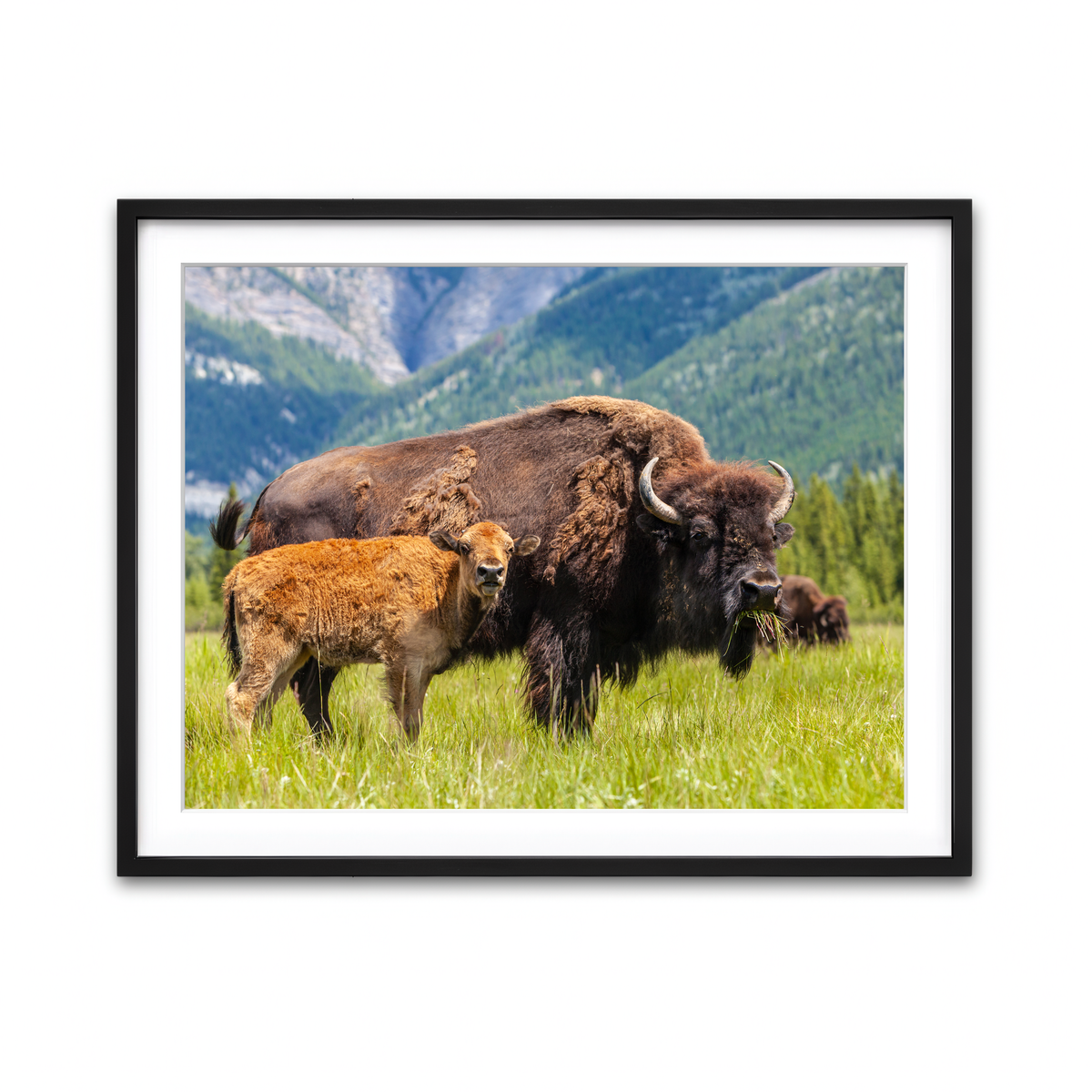 Framed Print 4x3 Black