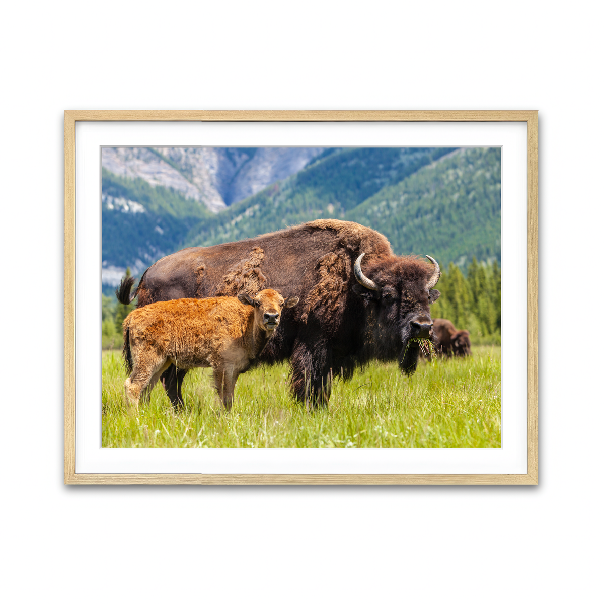 Framed Print 4x3 Natural