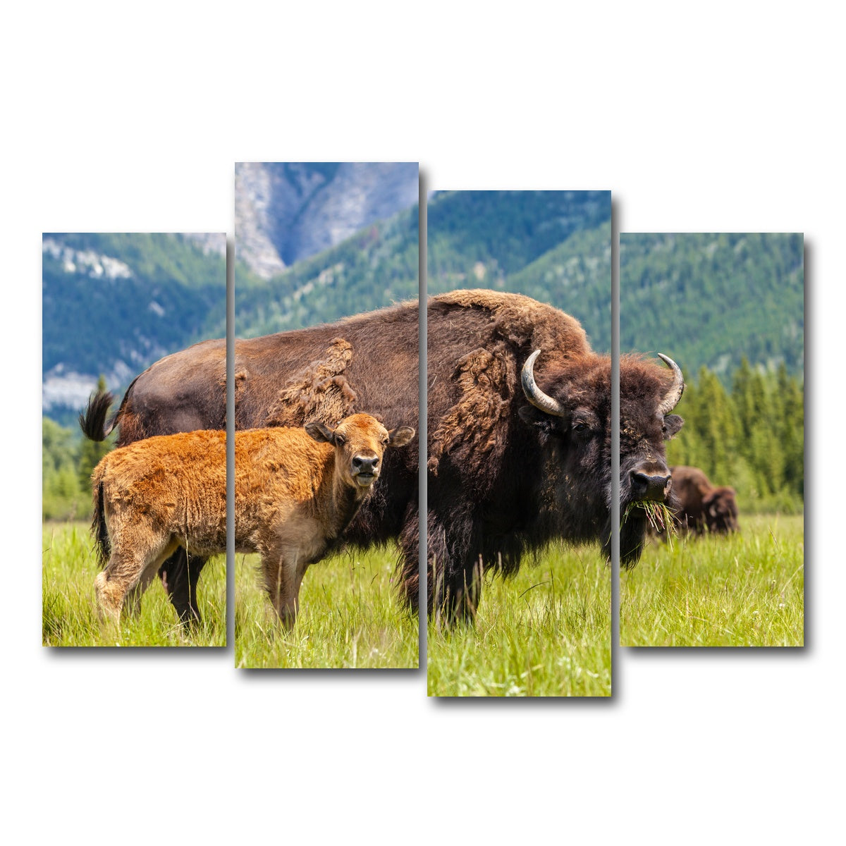AUTO-MOCKUP WHITE | Buffalo with calf | 4 Piece | Gallery Wrap Canvas | group=4_normal
