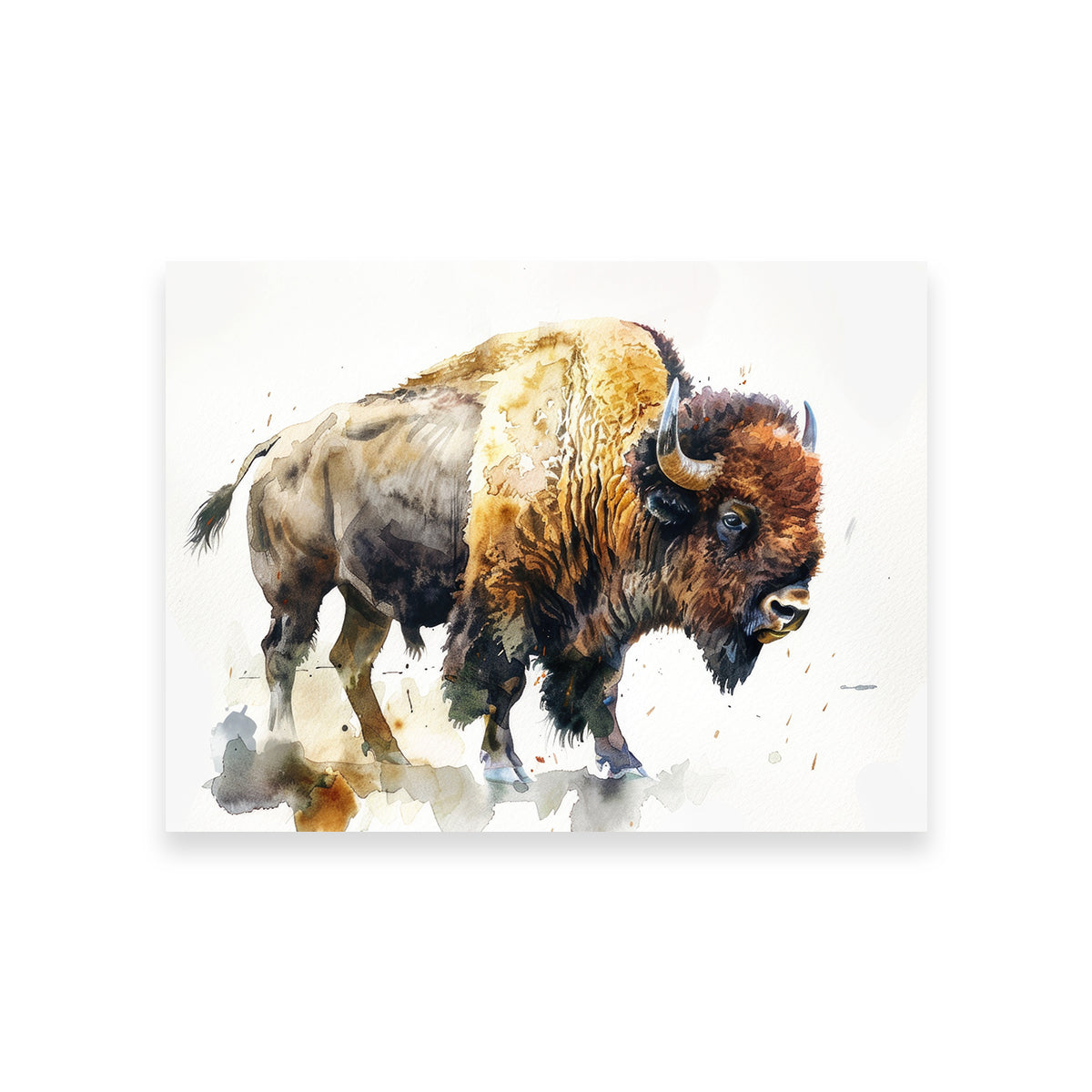 Buffalo on White Wall Art