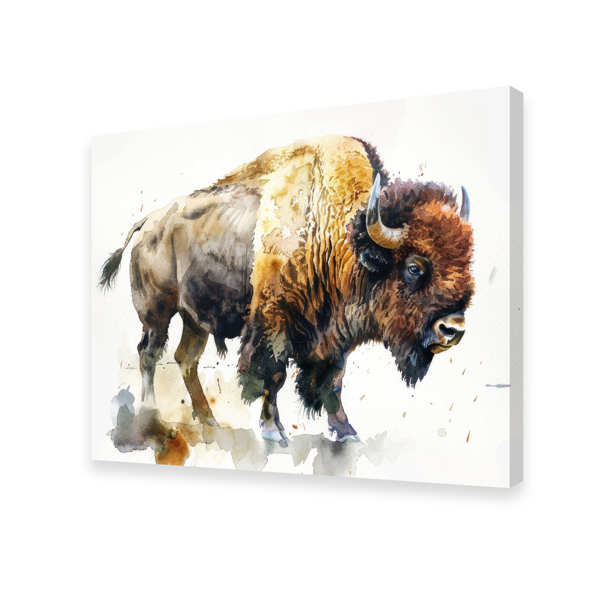 Buffalo on White Wall Art