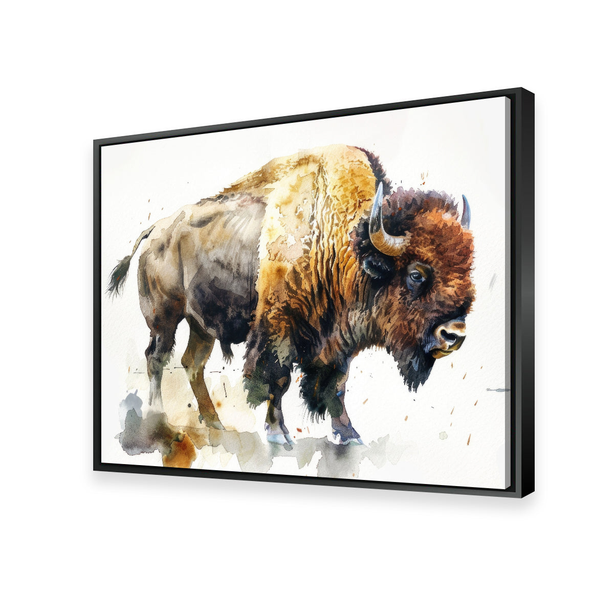 Buffalo on White Wall Art