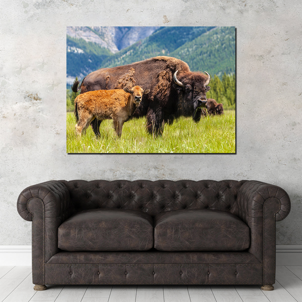 Buffalo with Calf Wall Art